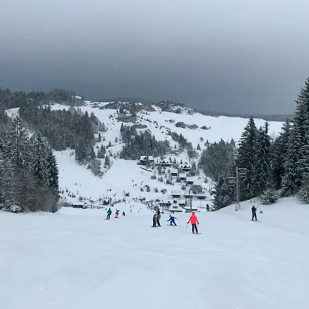 Cucoriedka Dağ evi *
