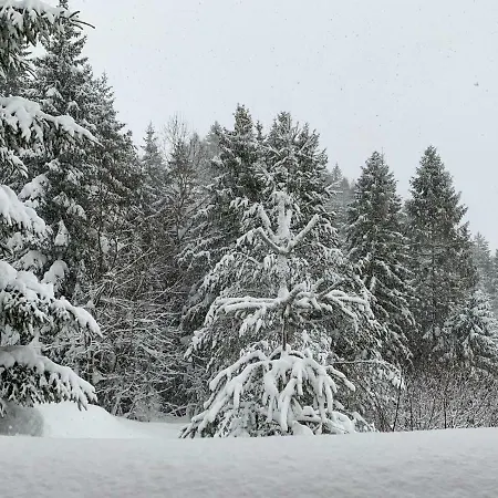 Cucoriedka Domek alpejski